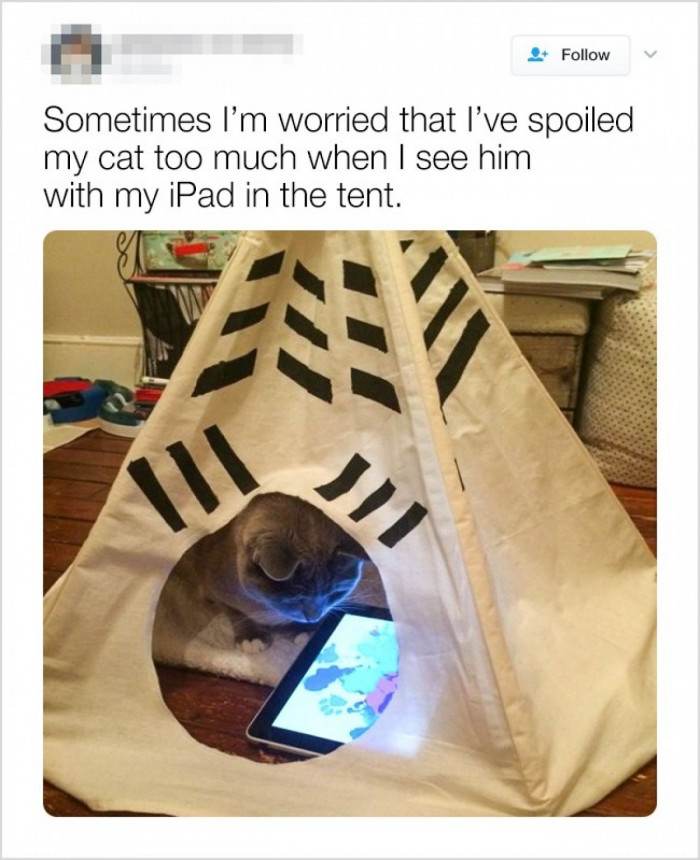 You definitely spoiled him too much!