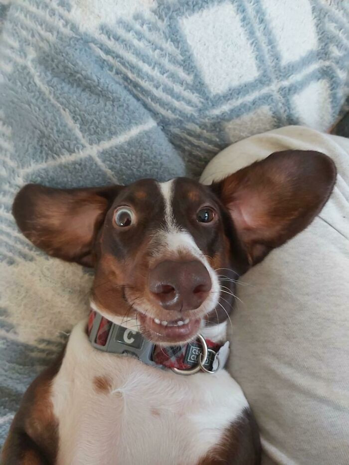 10. "So This Is Albert..."