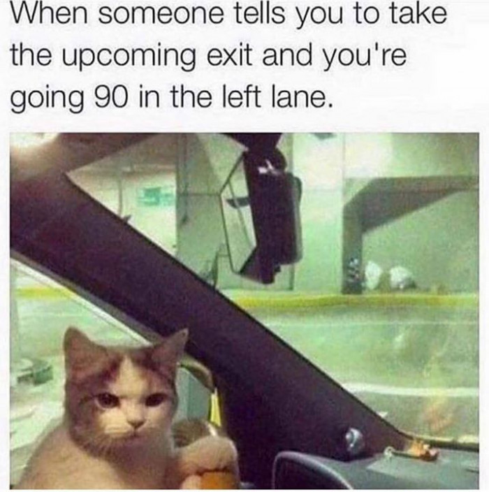 7. "Do you want to die?"