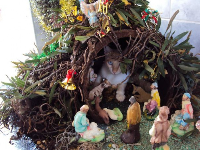 18. "Awaaaaay In The Manger... Oh..."