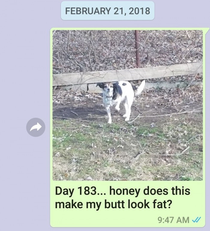 Day 183.