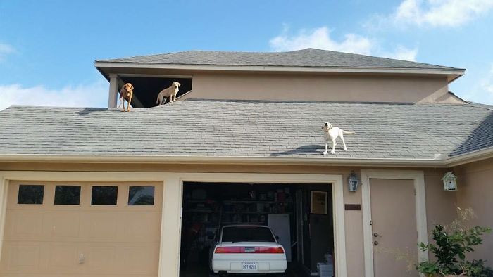 "He found another place, so we accepted it. Then it became funny."