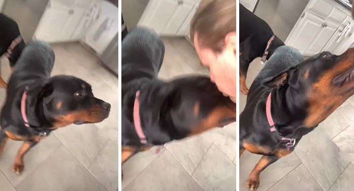 He's into it!