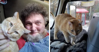 Truck Driver Finds Unusual Travelling Buddy In His Pet Cat