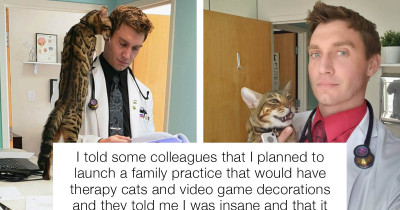 This Family Practitioner's Office Offers Therapy Cats And Video Games And They're Wildly Successful For It