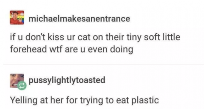 Tag yourself as a cat parent: I'm both of them.