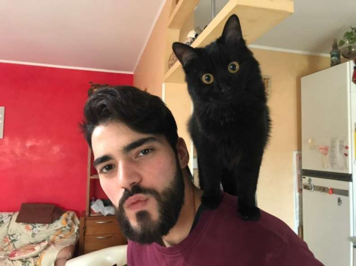 Cat stands close to owner, paw raised as warning to stop eating