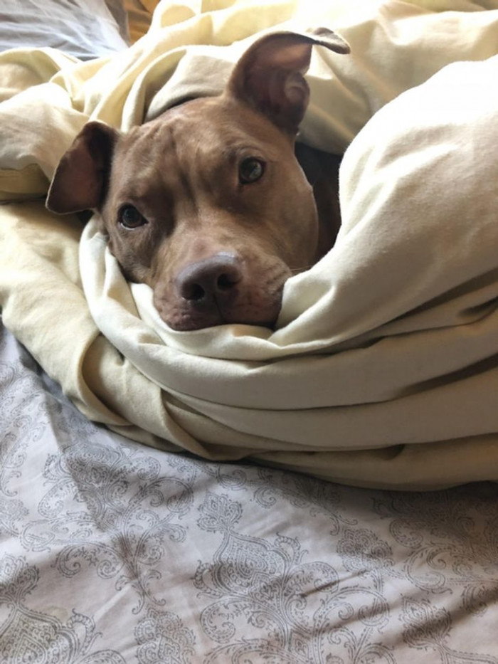 20. 'My little cinnamon bun.'