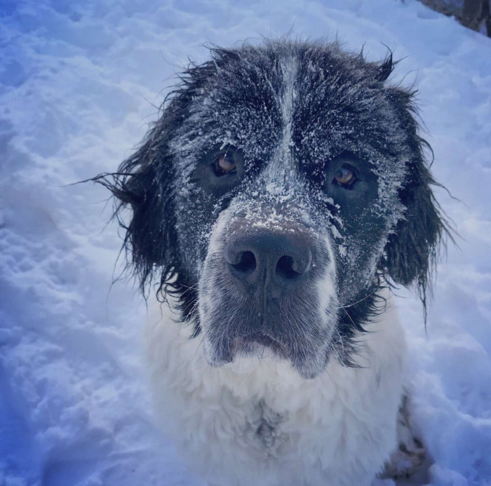 “She was always most comfortable in the winter.”