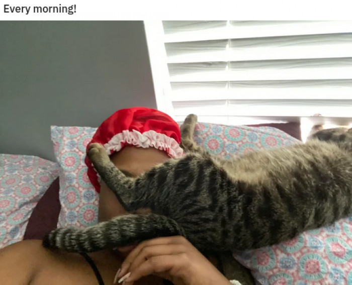 15. The best part of waking up is a cat butt in your face.