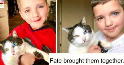 This 7-Year-Old Boy Found a Kindred Spirit in This Cat That Has the Same Rare Conditions That He Has