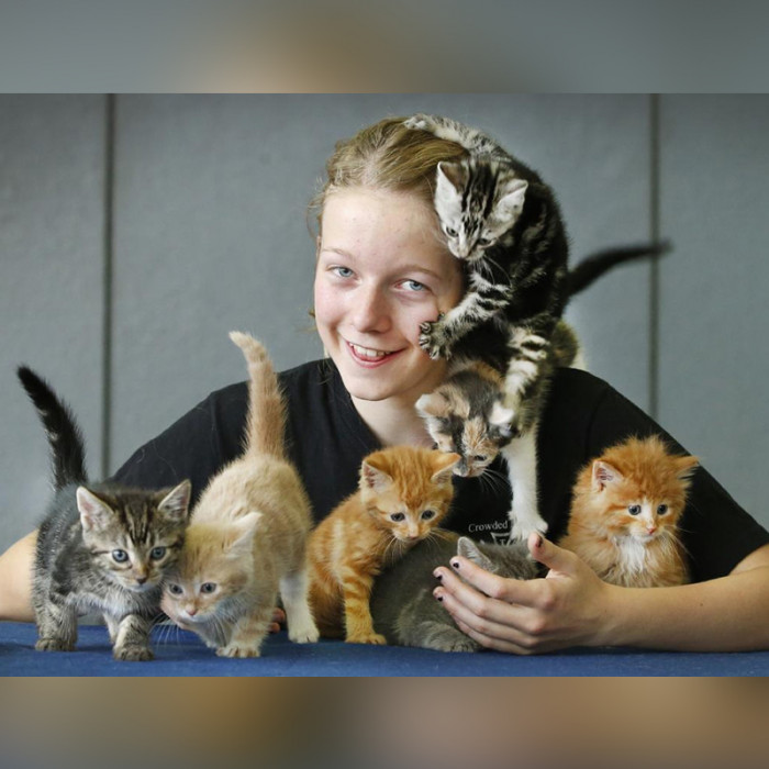 The Animal Hospital Had Its Hands Full