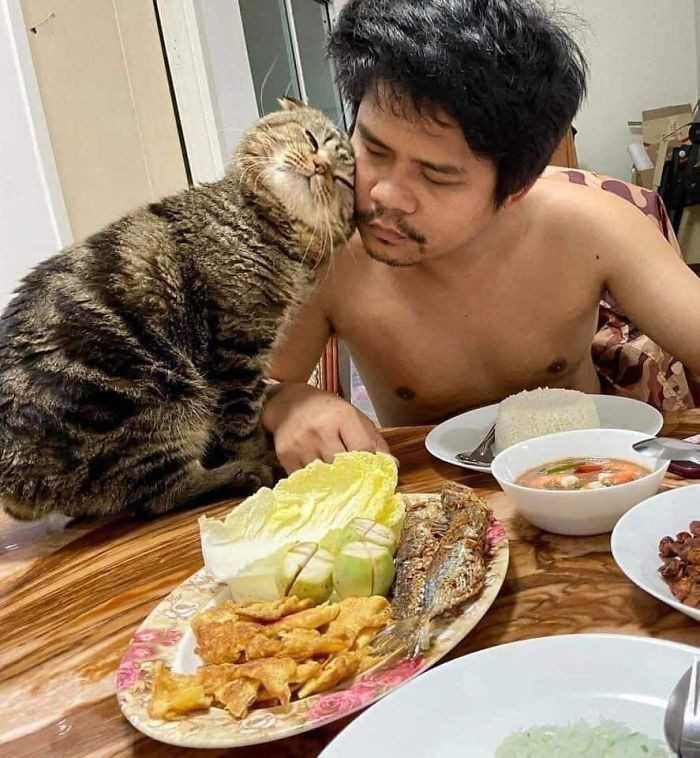#2 Aww.