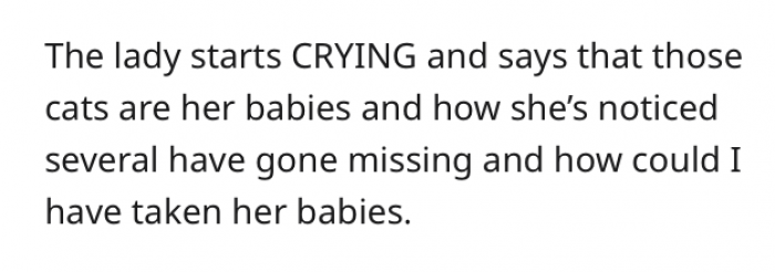 Apparently, some of those cats belong to the old woman.