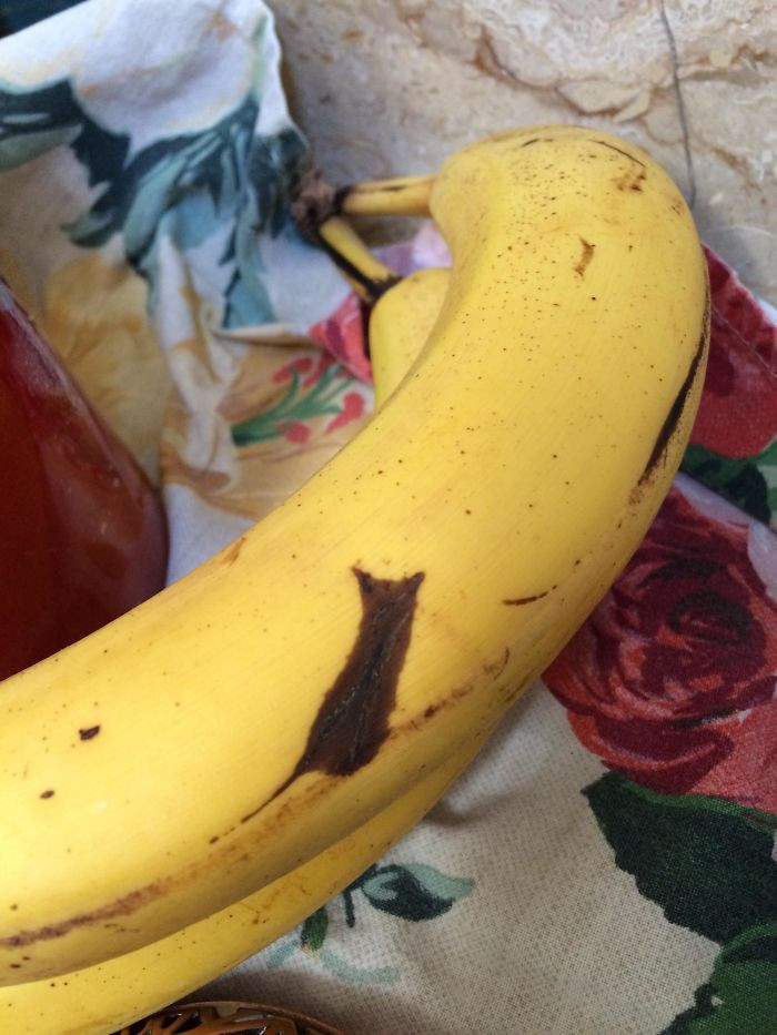 "My Banana Has a Bruise That Is a Silhouette of a Cat."