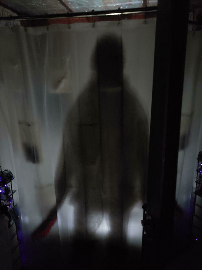 29. Do You Like My New Shower Curtain?