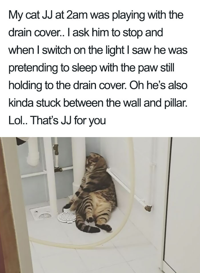 A master of deception!