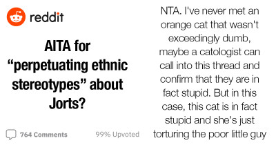 Reddit Users Erupt In Enthusiasm Over Viral Cat Story About Jean And Jorts