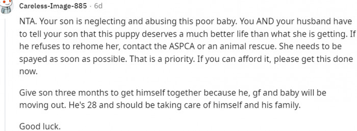 23. Neglect and abuse