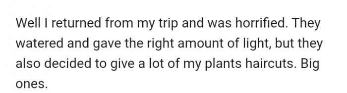 Unfortunately, when she returned, the plants were in a horrible state