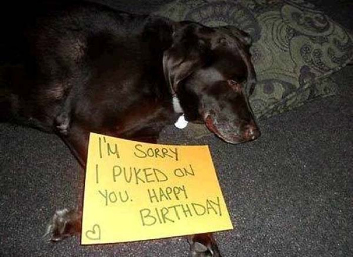 11. Best birthday gift