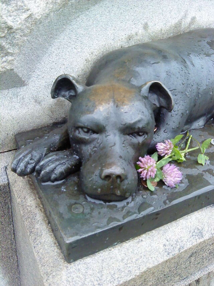 However, the park never approved the inscription, so only people who know Sallie's story are aware of her identity.