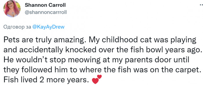 #11 A pretty unusual story.