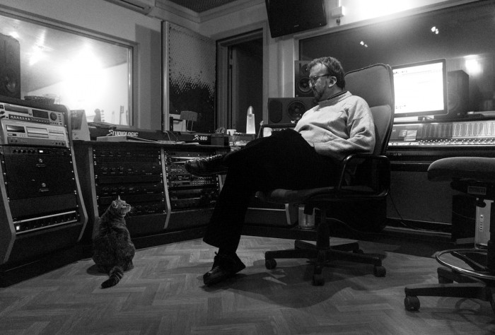 Cat relaxing in a business interior, embodying adorable distractions during daily work