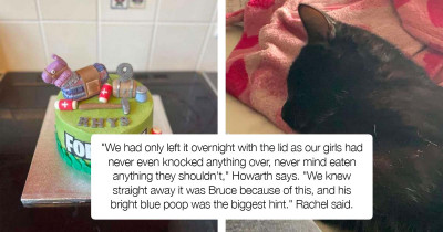 Cat Decides to Redesign Family’s Birthday Cake That Was Left Unattended