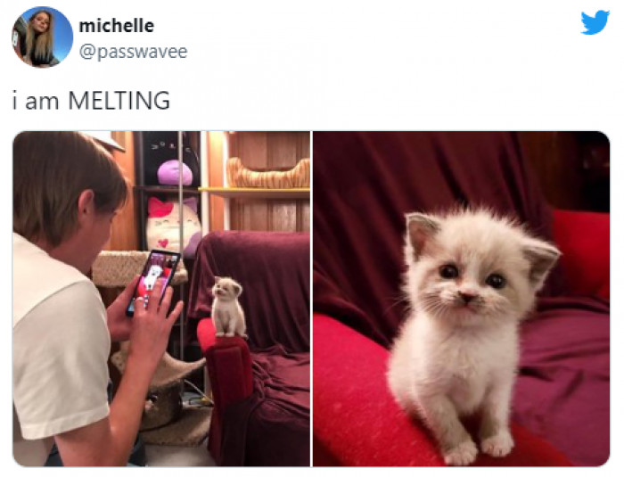 11. Just adorable.