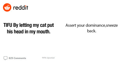 Cat Parent Got More Than They Expected When They Allowed Their Cat to Sniff Their Mouth