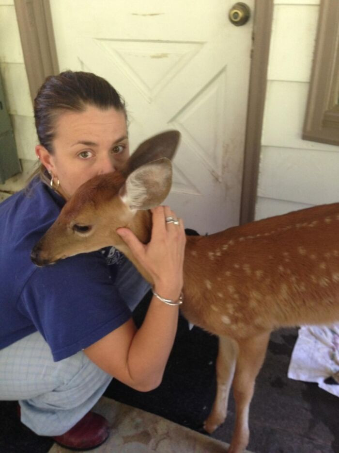 A vet tech’s house isn’t always like this, but this one is a special exemption