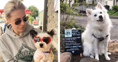 Woman Creates Wonderful Café For Neighborhood Pooches