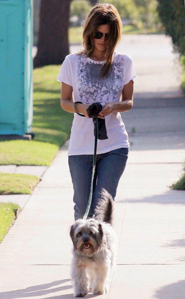 35. Rachel Bilson has adopted many animals from different rescue centers