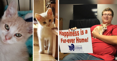 Concerned Citizen Saves Poor Kitten After Seeing Him Thrown From A Moving Car