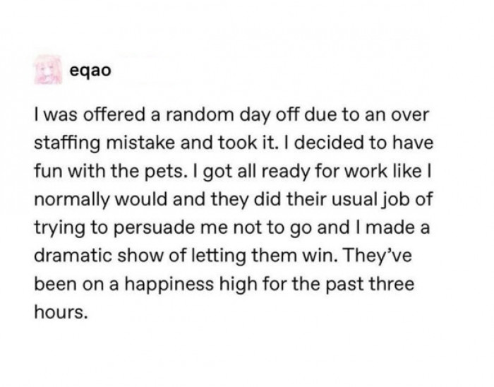 8. It does feel good to be a winner