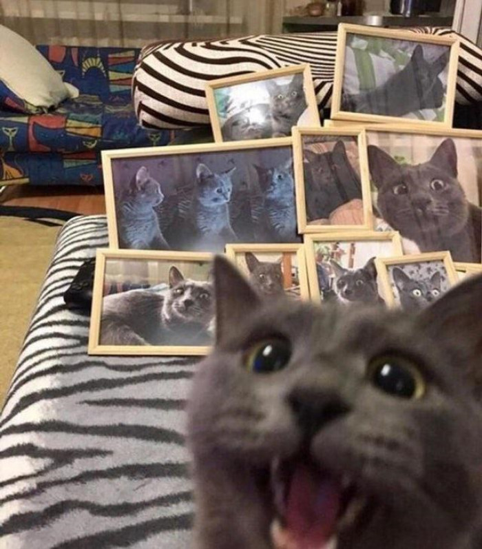 13. Yay! Is that me in the pictures?