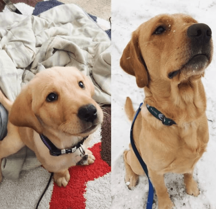 So grown up and proud