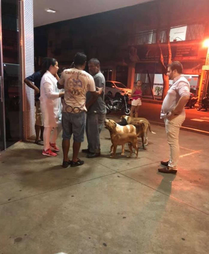 The non-profit organization wrote a viral post on their Facebook account about the special moment.