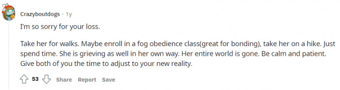 More amazing advice for the dog.