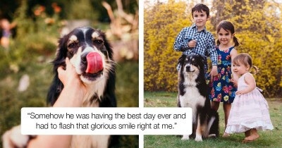 Dog Wins Over Mom for Best Behavior During Family Photography Session