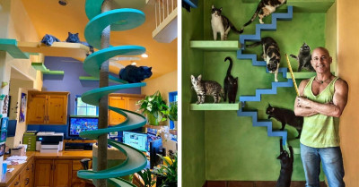 Wholesome Man Creates The Purrfect Palace For The 20+ Cats He Rescued