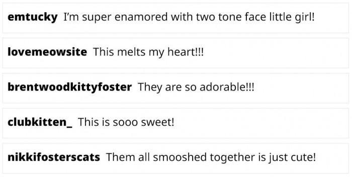 Here's what people are saying: