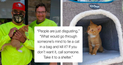 Sanitation Workers Shocked After Finding A Cat In A Garbage Bag While On Duty