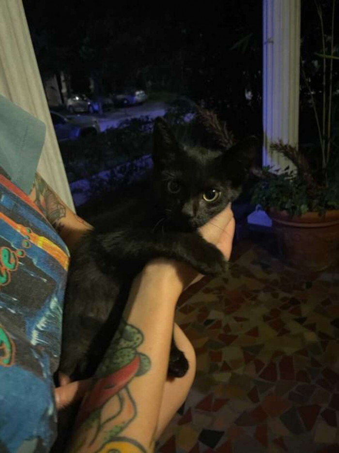 Michelle and her boyfriend took the little guy home and decided to name him Black Bean. Later, Michelle got in touch with her friend, who runs an animal shelter.