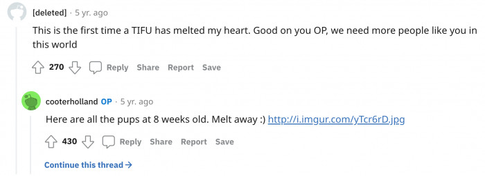 Most posts on TIFU are about unfortunate situations. This post shines among the posts in this subreddit.