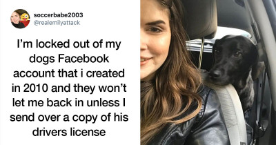 This Dog Wants A Driver's License After His Human Got Locked Out Of The Dog's Personal Facebook