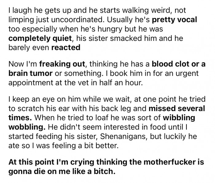 OP then realized that something serious might be wrong with their cat.