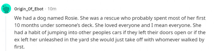 17. Rosie loves people so much.... Adorable