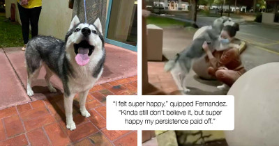 Kidnapped Dog Reunites With Her Owner Who Spent Two Months Searching